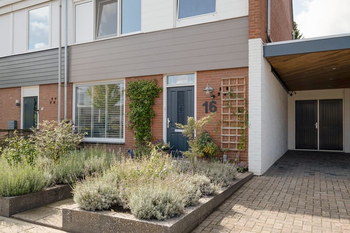 Foto 6 van Möllenbergstraat 16