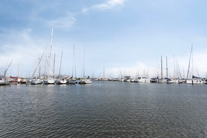 Foto 49 van Albatroslaan 249