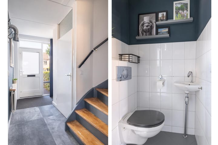 Foto 11 van Veenmos 101