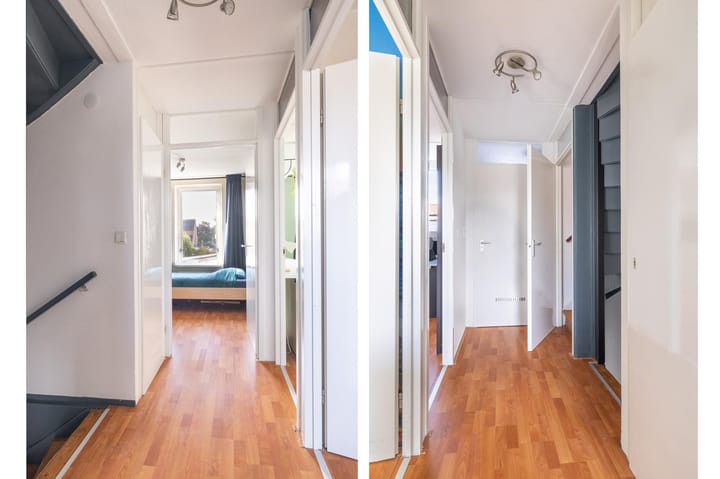 Foto 21 van Veenmos 101