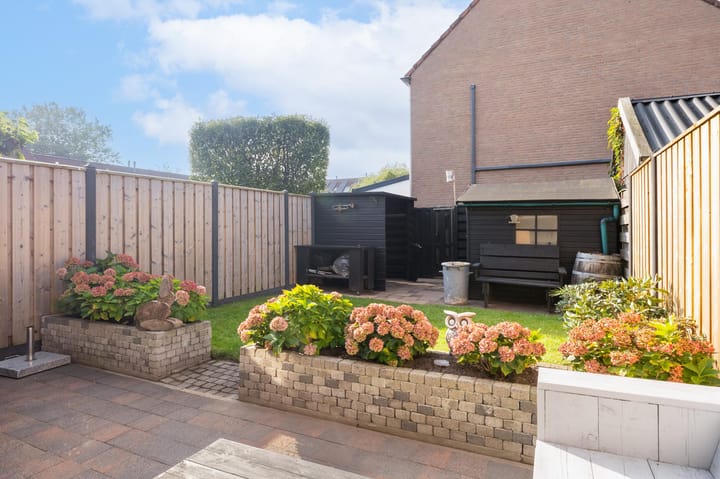 Foto 27 van Veenmos 101