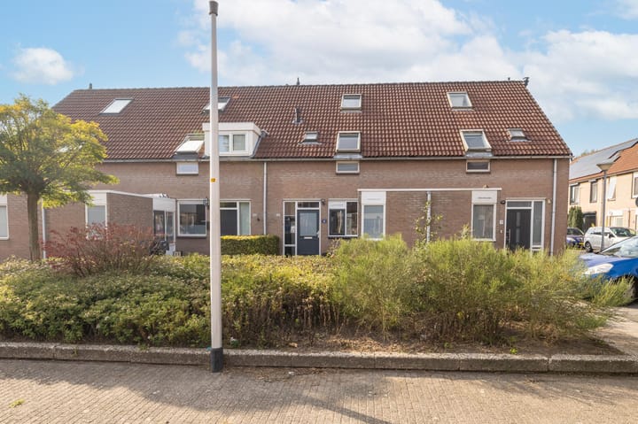 Foto 31 van Veenmos 101