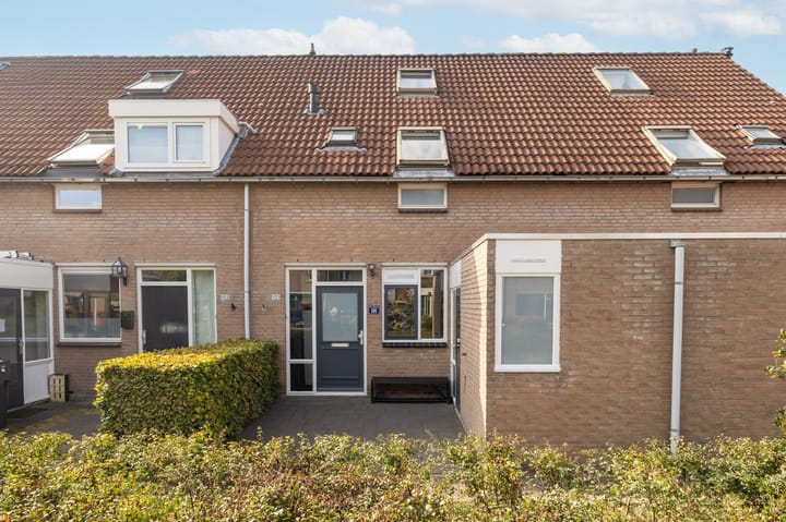 Foto 32 van Veenmos 101