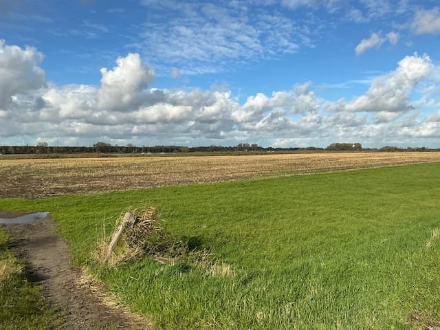 Bekijk foto 2 van GROND Zomerdijk