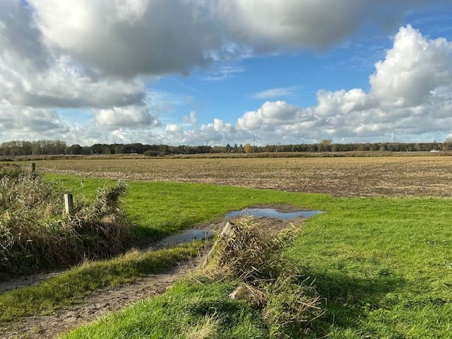 Bekijk foto 3 van GROND Zomerdijk