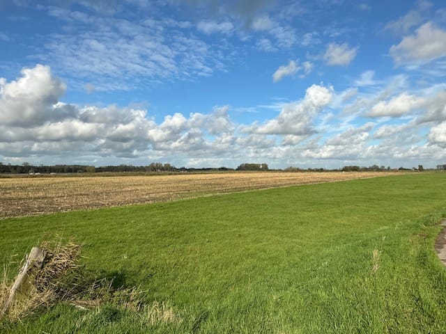 Bekijk foto 1 van GROND Zomerdijk