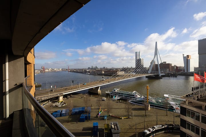 Foto 4 van Willemsplein 519