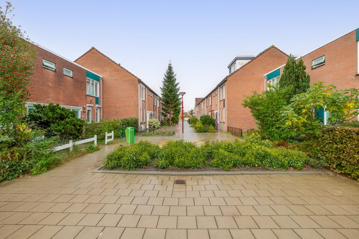 Photo 41 of Dintherseschans 9