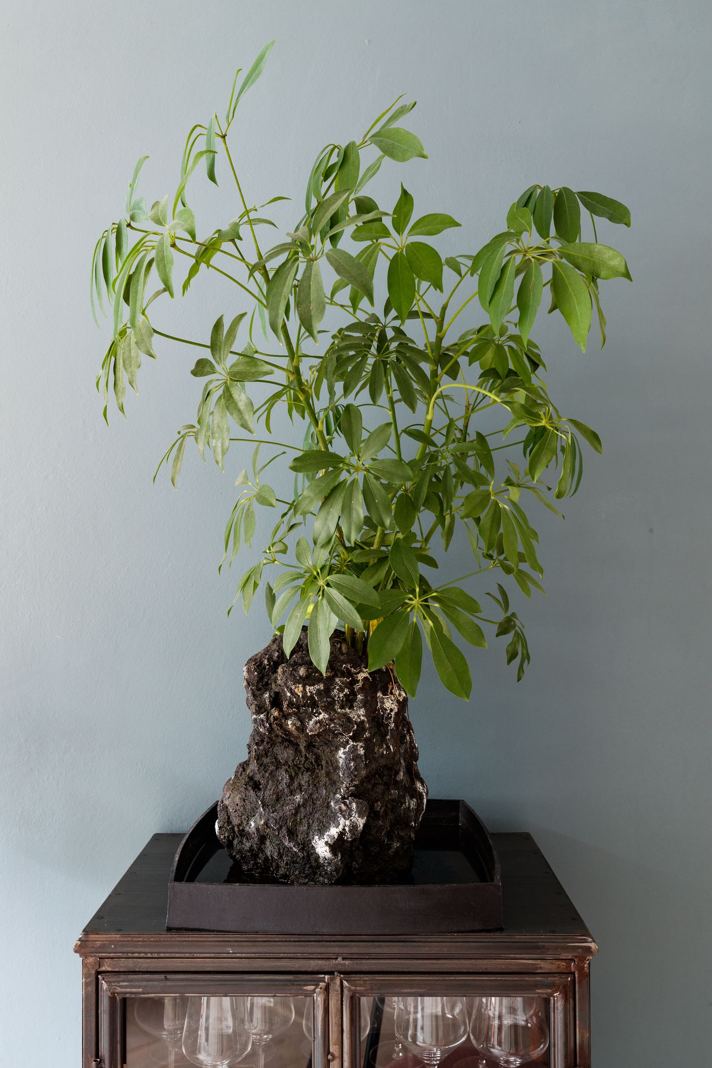 Foto 5 van Zandhofsestraat 80