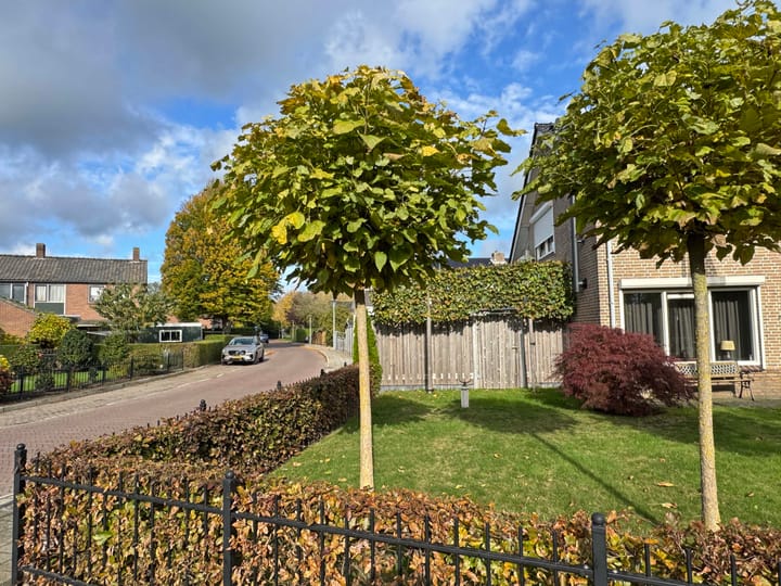 Foto 10 van vd Duyn v Maasdamstr 13