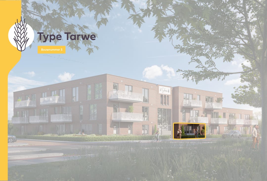 Foto 1 van Tarwe (Bouwnr. 3)