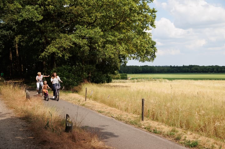 Foto 10 van Tarwe (Bouwnr. 3)