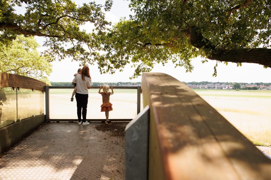 Foto 11 van Tarwe (Bouwnr. 6)