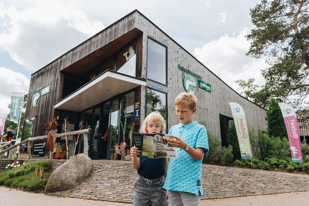 Foto 16 van Tarwe (Bouwnr. 6)