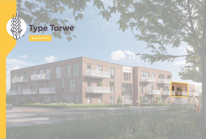 Foto 1 van Tarwe (Bouwnr. 13)