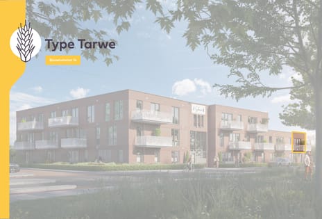 19 appartementen De Schoven 2025 - Ten Brinke main image