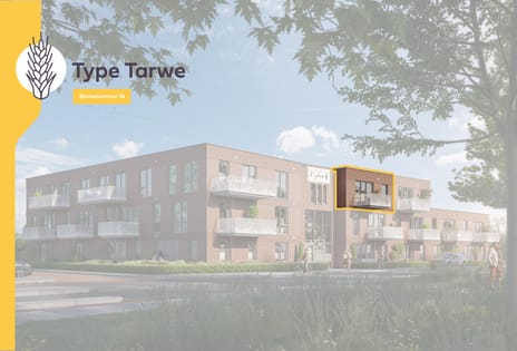 19 appartementen De Schoven 2025 - Ten Brinke main image