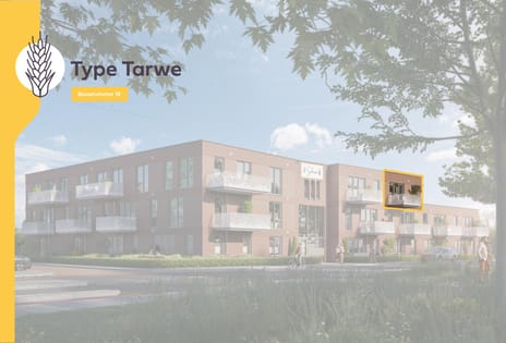 19 appartementen De Schoven 2025 - Ten Brinke main image