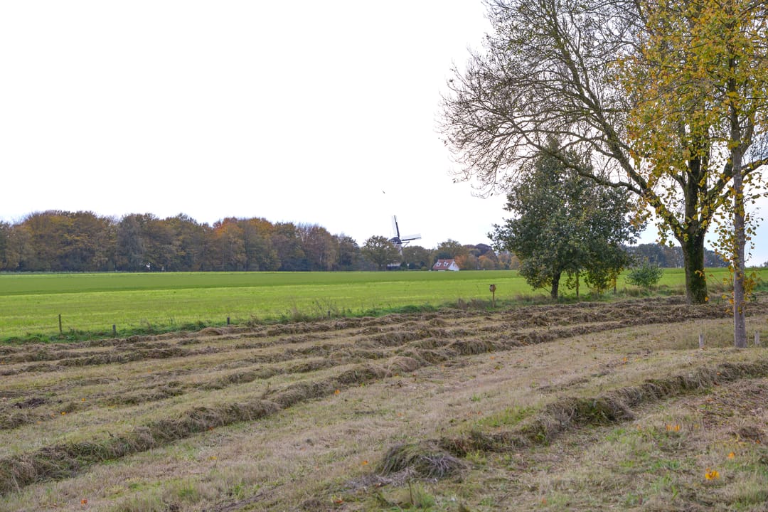 Photo 22 of van Goyenlaan 195