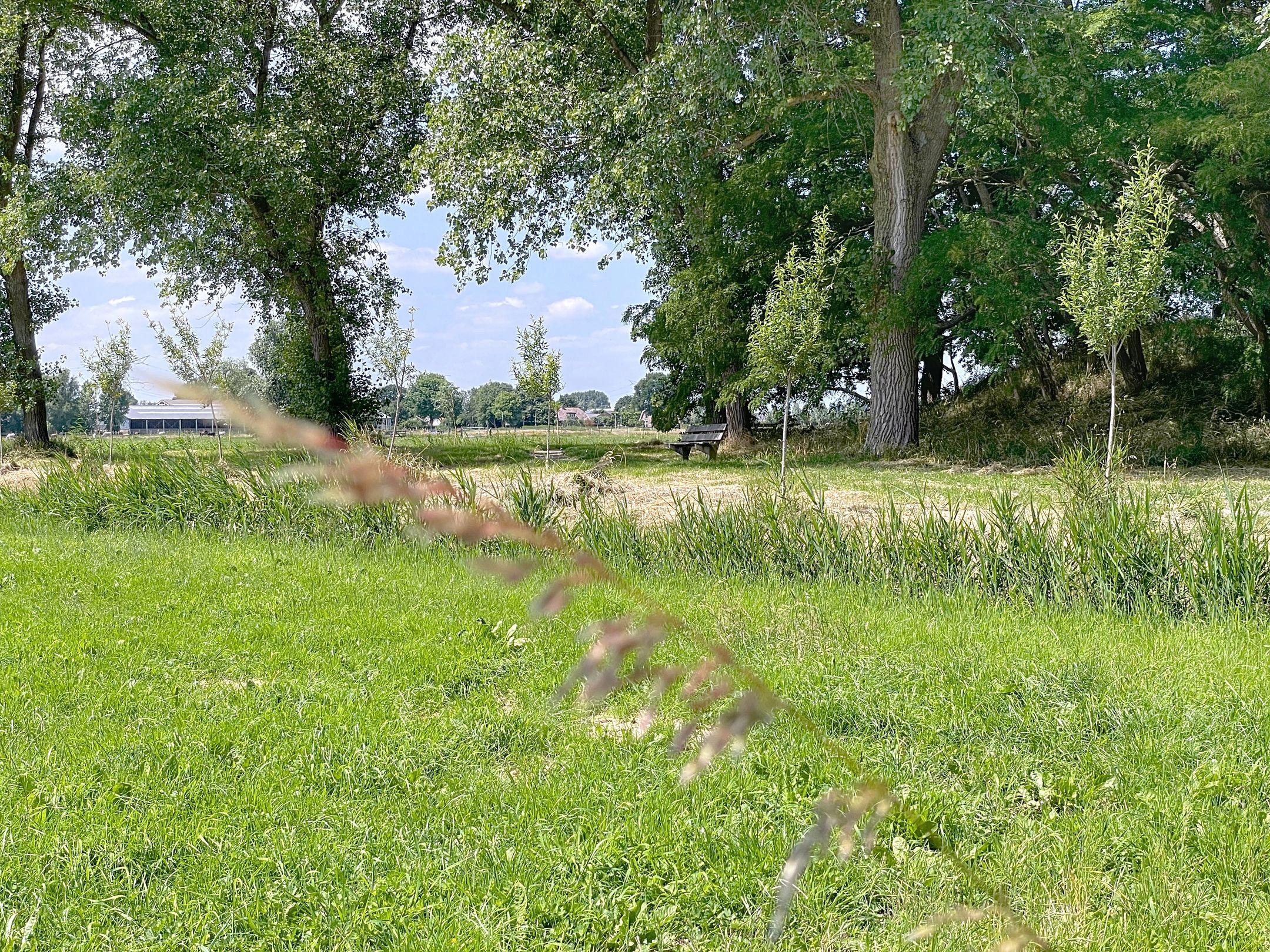 Foto 39 van J. Bosboomlaan 1