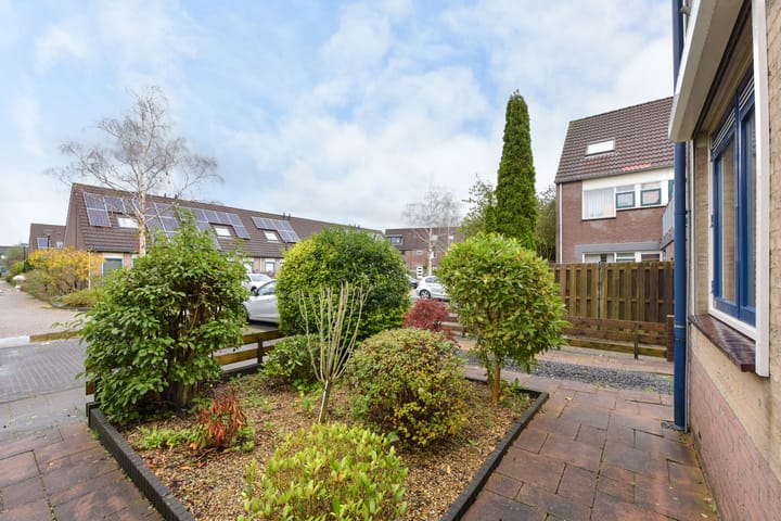 Foto 32 van Groenland 30