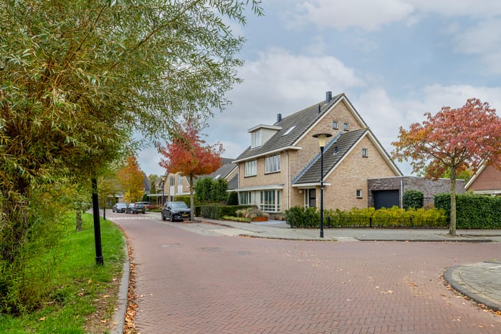 Foto 6 van Taxushout 12