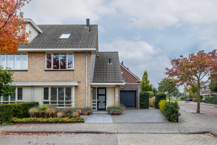 Foto 7 van Taxushout 12