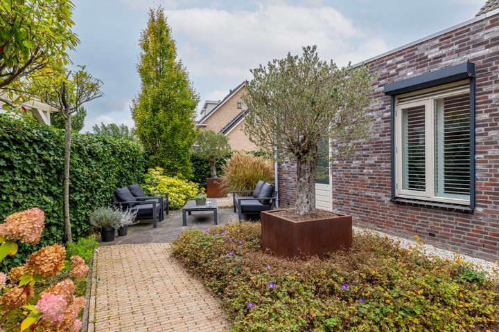 Foto 41 van Taxushout 12