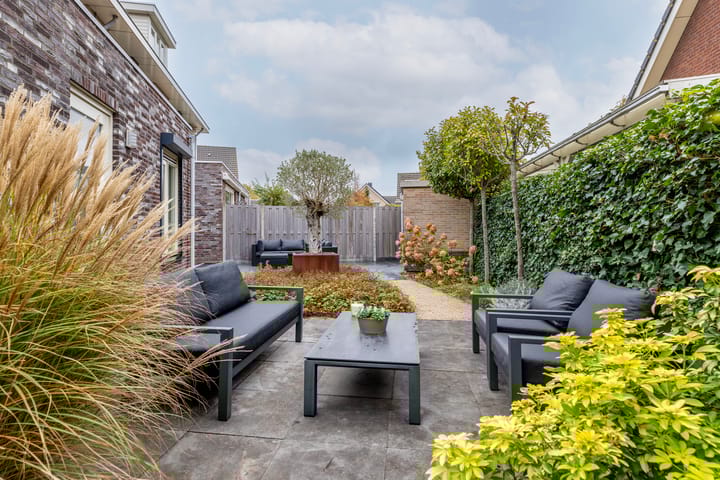 Foto 44 van Taxushout 12