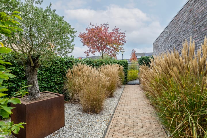 Foto 45 van Taxushout 12