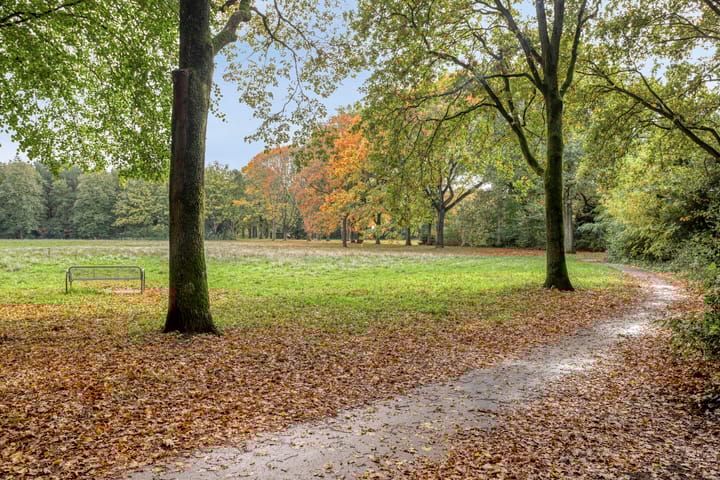 Photo 32 of Verdistraat 18