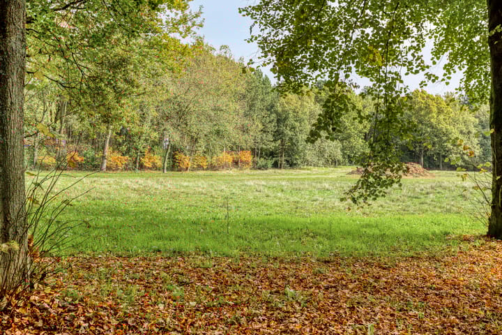 Photo 33 of Verdistraat 18