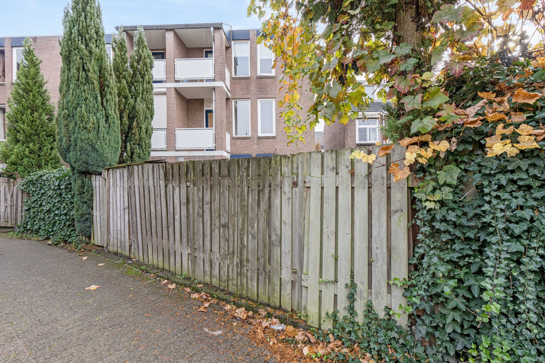 Photo 18 of Molenstraat 3-10