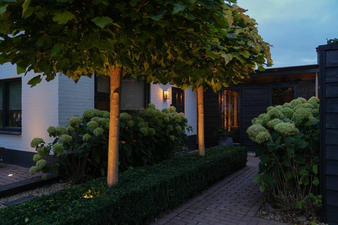 Foto 68 van Paterstraat 144