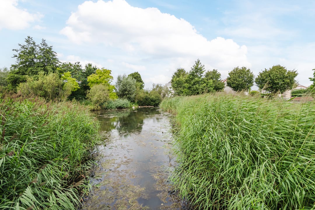 Foto 46 van Mozartdreef 112