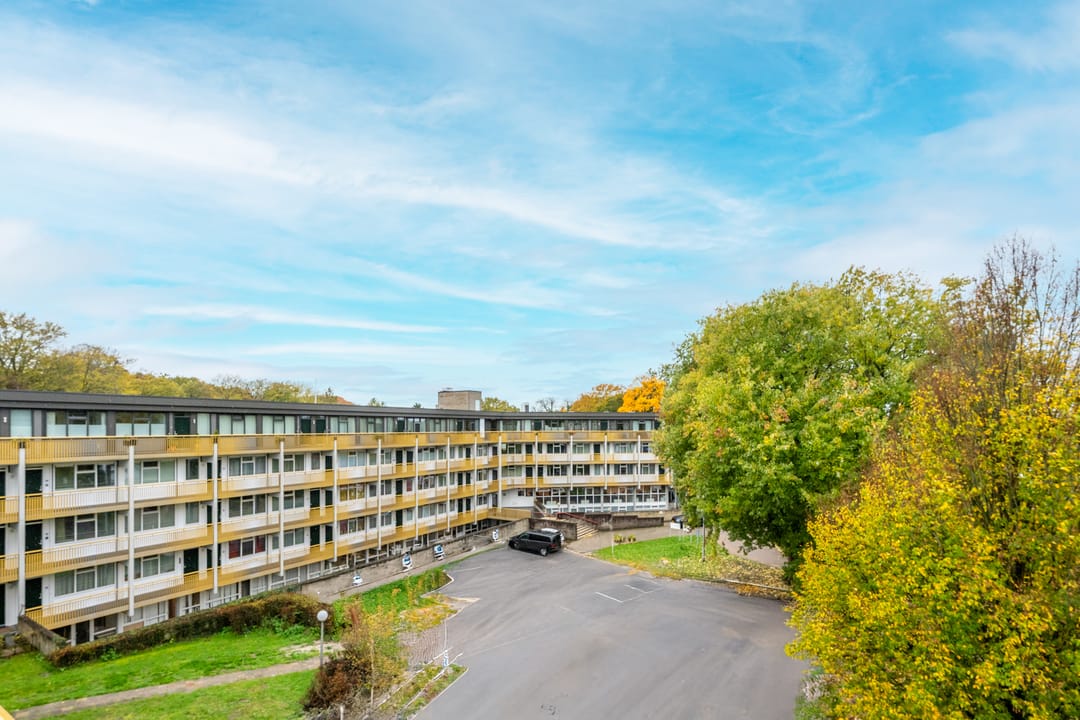 Foto 2 van Park Boswijk 776