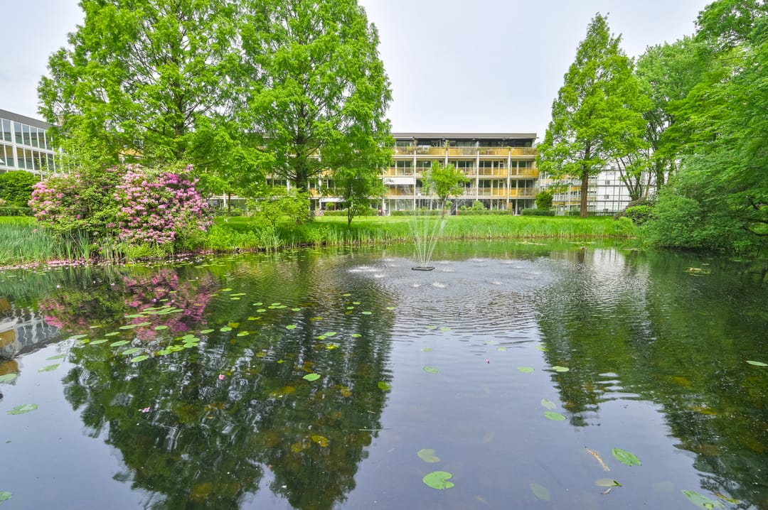 Foto 8 van Park Boswijk 776