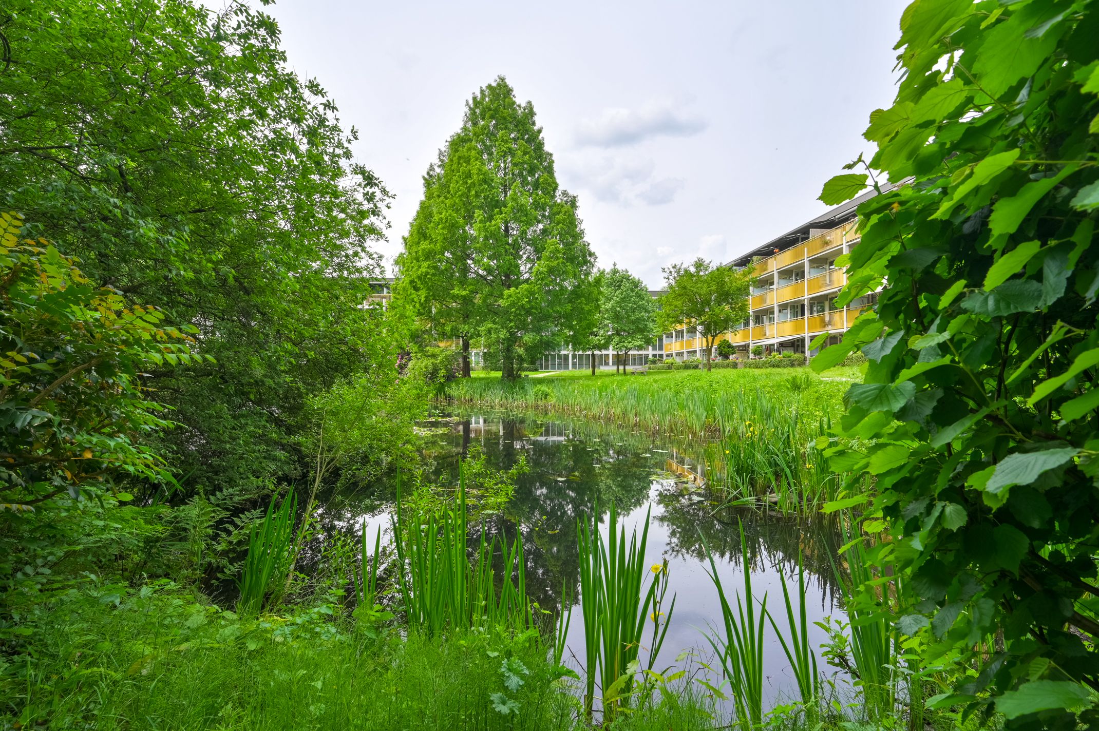 Foto 9 van Park Boswijk 776