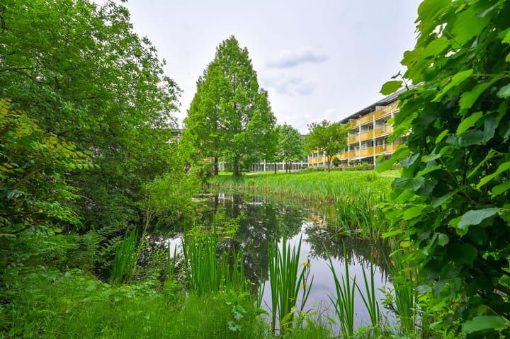 Foto 9 van Park Boswijk 776