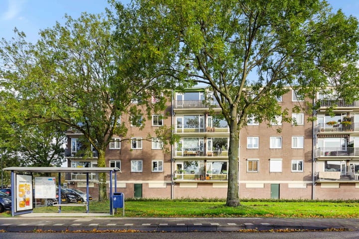 Foto 27 van Maassingel 304