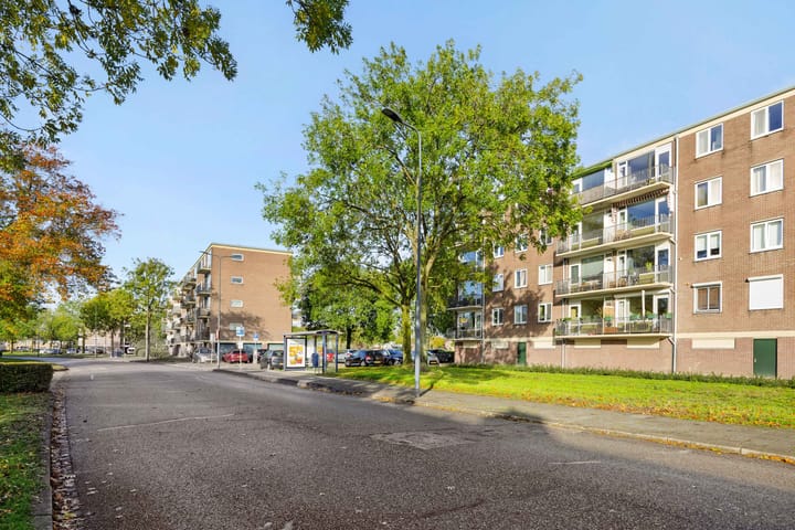 Foto 28 van Maassingel 304