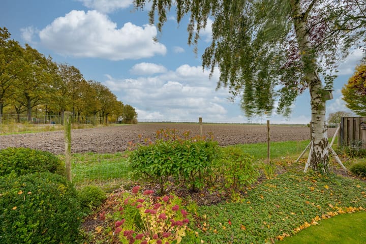 Photo 59 of Appelaarseweg 27