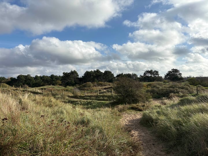 Foto 44 van Dr C A Gerkestraat 141