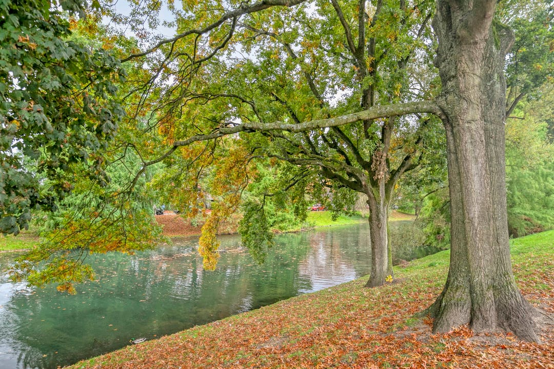 Foto 37 van Neptunusstraat 3