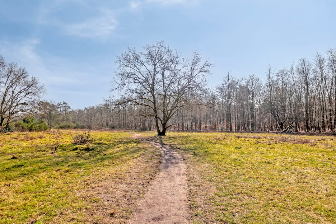 Foto 38 van Neptunusstraat 3