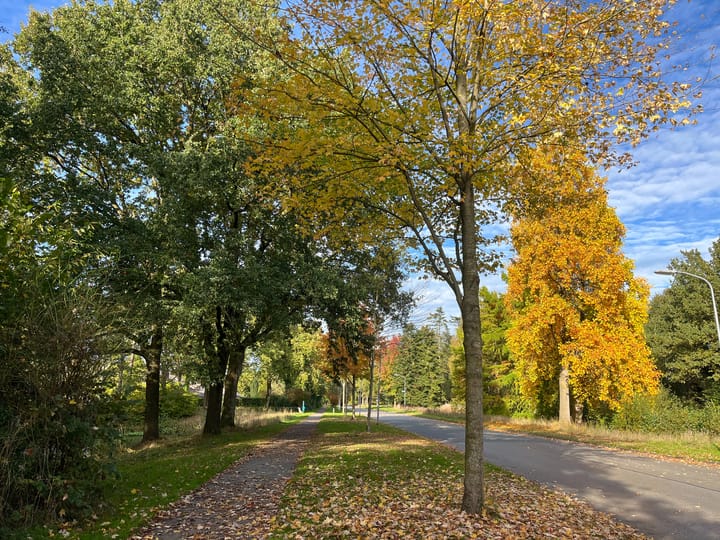 Foto 40 van Kerspel 58