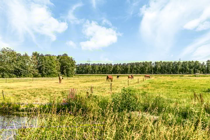 Foto 44 van Grote Buitendijk 36