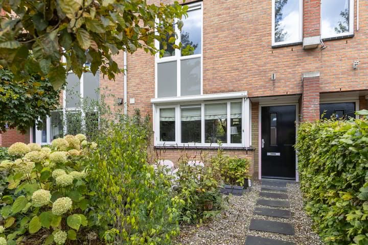 Photo 6 of Steppemeer 21