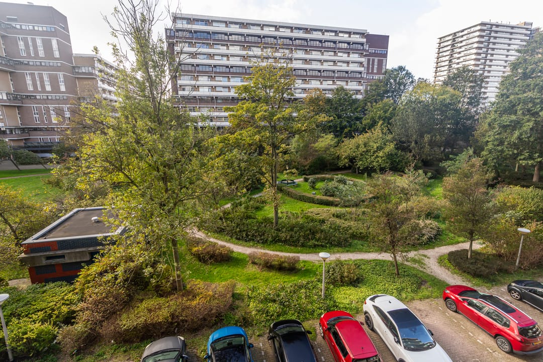 Foto 13 van Steenvoordelaan 242