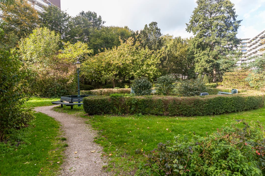 Foto 31 van Steenvoordelaan 242